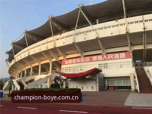 博业体育新手教程教程 博业体育新手教程全面评测:从零开始的冠军之路体验报告